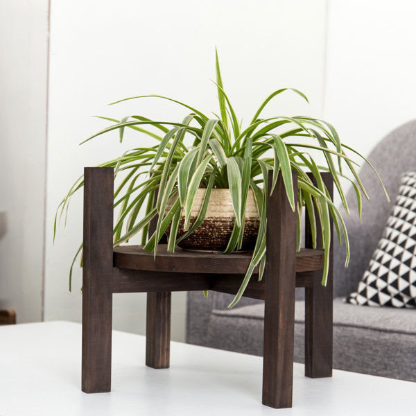 Arlmont & Co. Leicester Plant Stand & Reviews Wayfair Canada